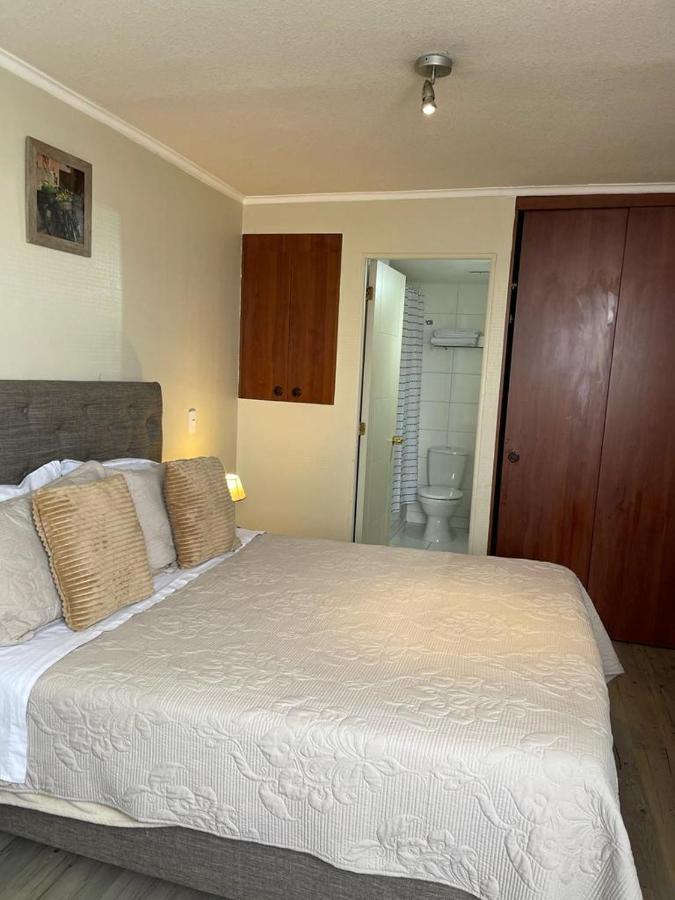 C&M Apartment Santiago de Chile Zewnętrze zdjęcie